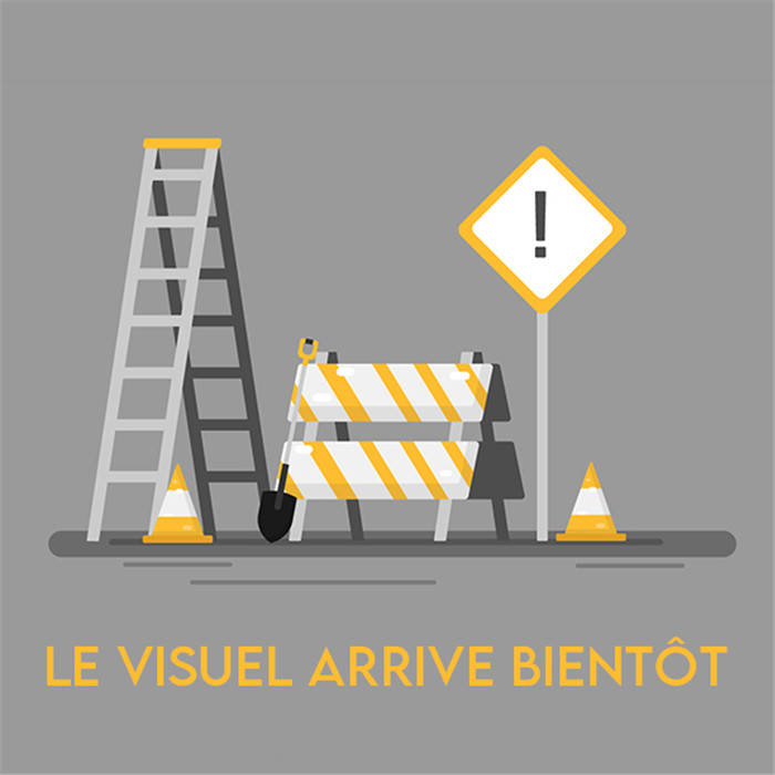 Escabeau type industrie de 4 marches hauteur plate-forme 1 m conforme aux normes EN131 Escabeau type industrie de 4 marches hauteur plate-forme 1 m conforme aux normes EN131